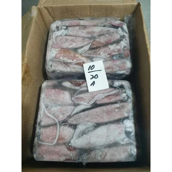 Approved seafood/certified loligo squids/frozen cheap price squids
