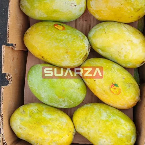 Fresh Fruit Badami mango at suitable market price are exported to worldwide/King of fruit  fresh mango supplier