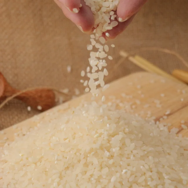 Hot Sale High Quality Vietnam Japonica Rice Good Price 15% 10% 5% Broken Rice Exporter