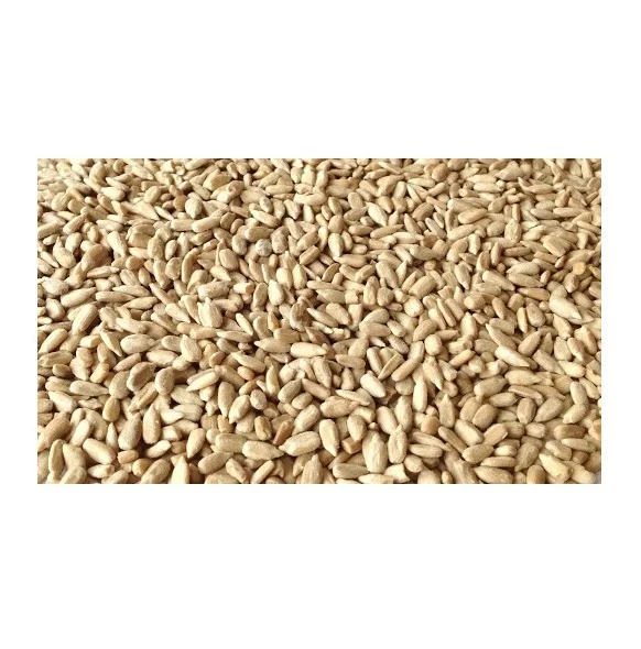 Natural Quality Best Price Sunflower Kernels Seeds Available In Bulk