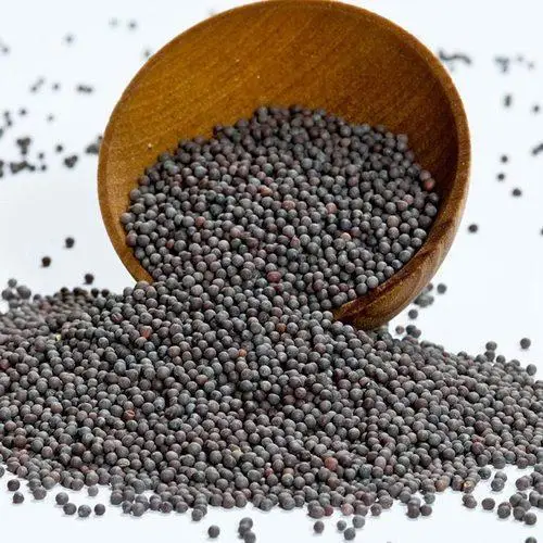 Mustard Seeds,Black White Yellow Mustard Seeds,Brown Mustard Seeds