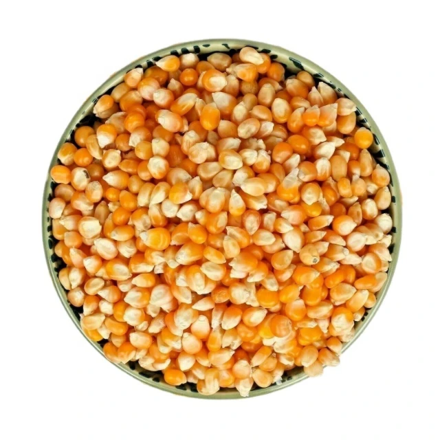 Cheap Price Butterfly Popcorn With Export Price