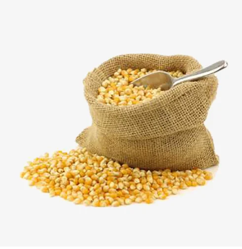 
Wholesale vitamin-rich bulk buy dried corn 