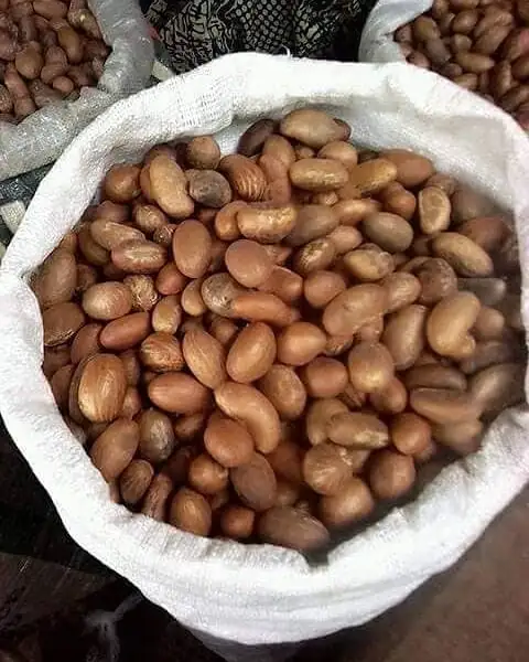 Bitter Kola Nuts