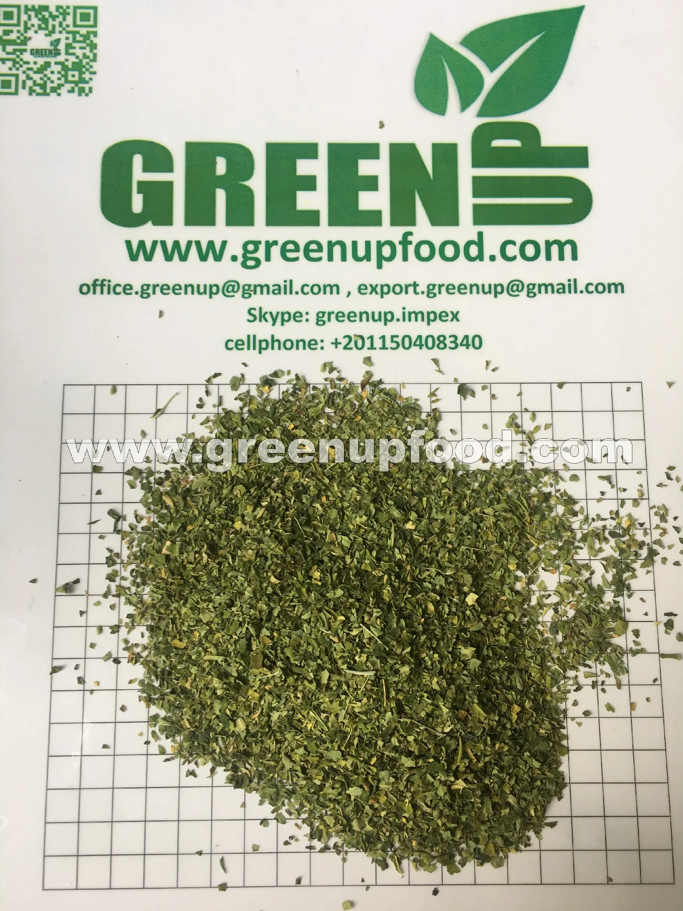 Moringa leaves green color no ash content no admixture no dark leaves  no impurities  fresh crops Moringa oleifera