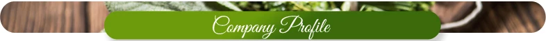 Company-Profile.jpg
