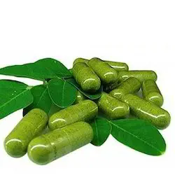 Herbal Supplement High potency Moringa Seed Extract Capsules Jasmine tea for health tea