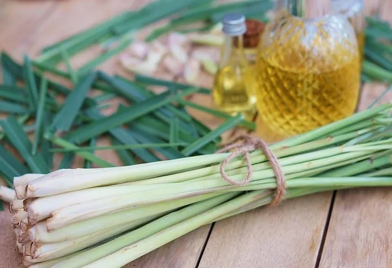 LEMONGRASS From Vietnam with Frozen Vegetables Good Price- LINDA Whatsapp 0084 989 322