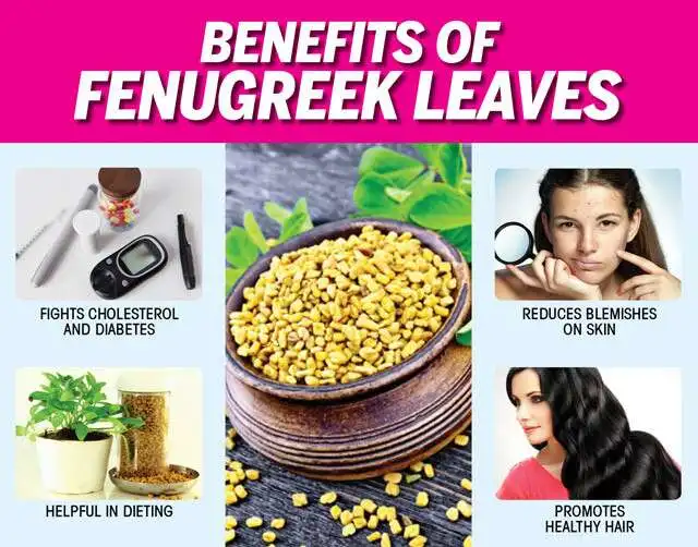 Fenugreek Capsules made with best quality of fenugreek extracts for exports.