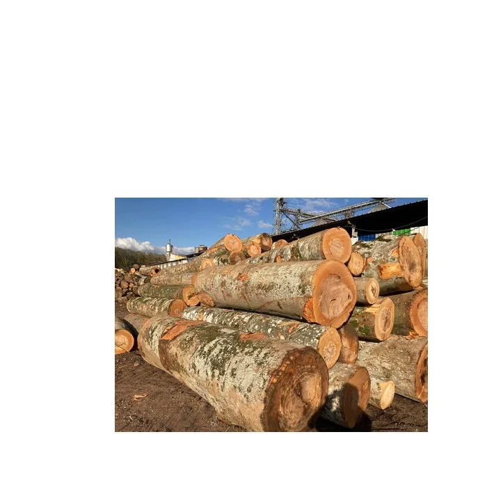 Sawn Timber logs/Beech Logs For Sale In Europe At Low cost.