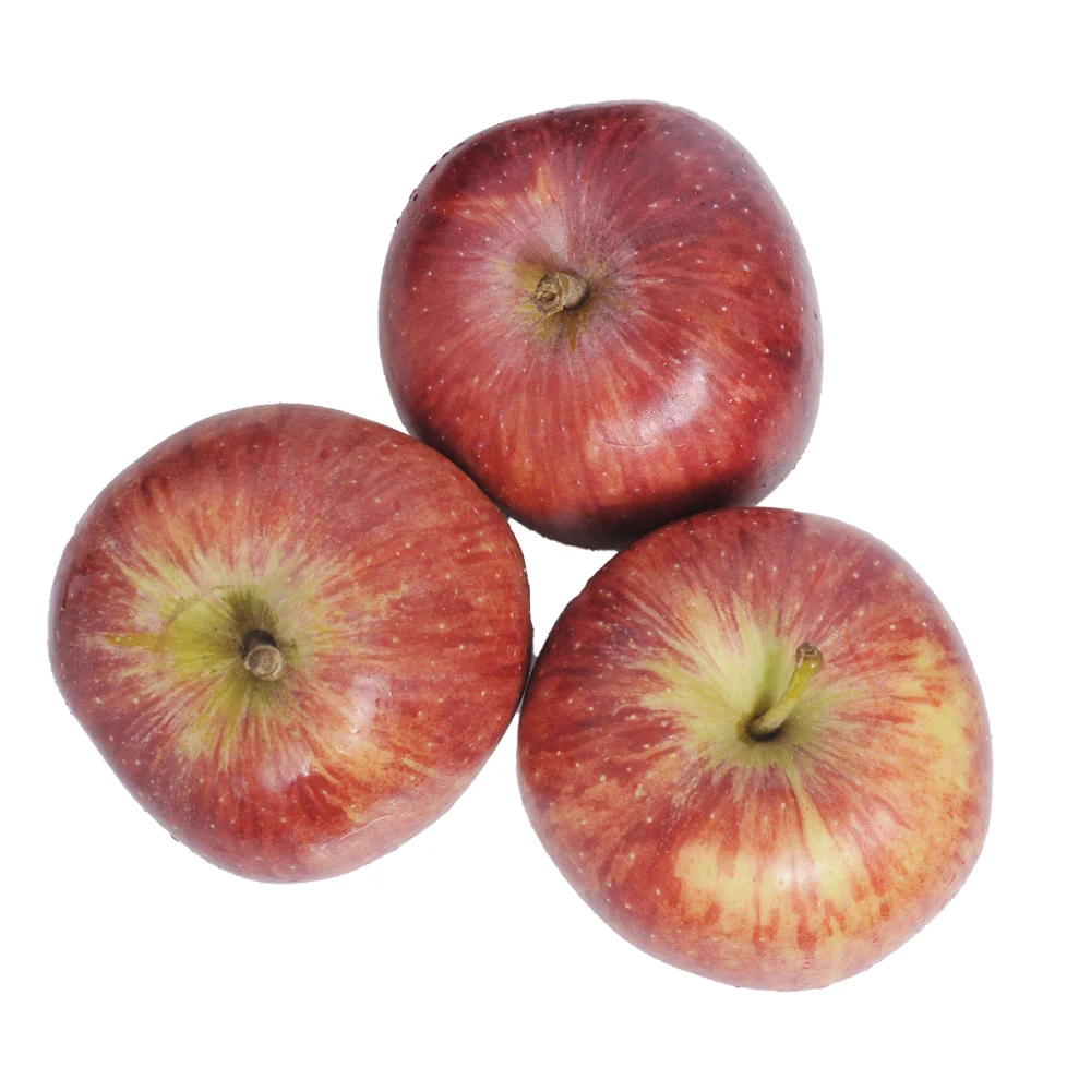 South African Wholesaler Price Royal Gala Apples