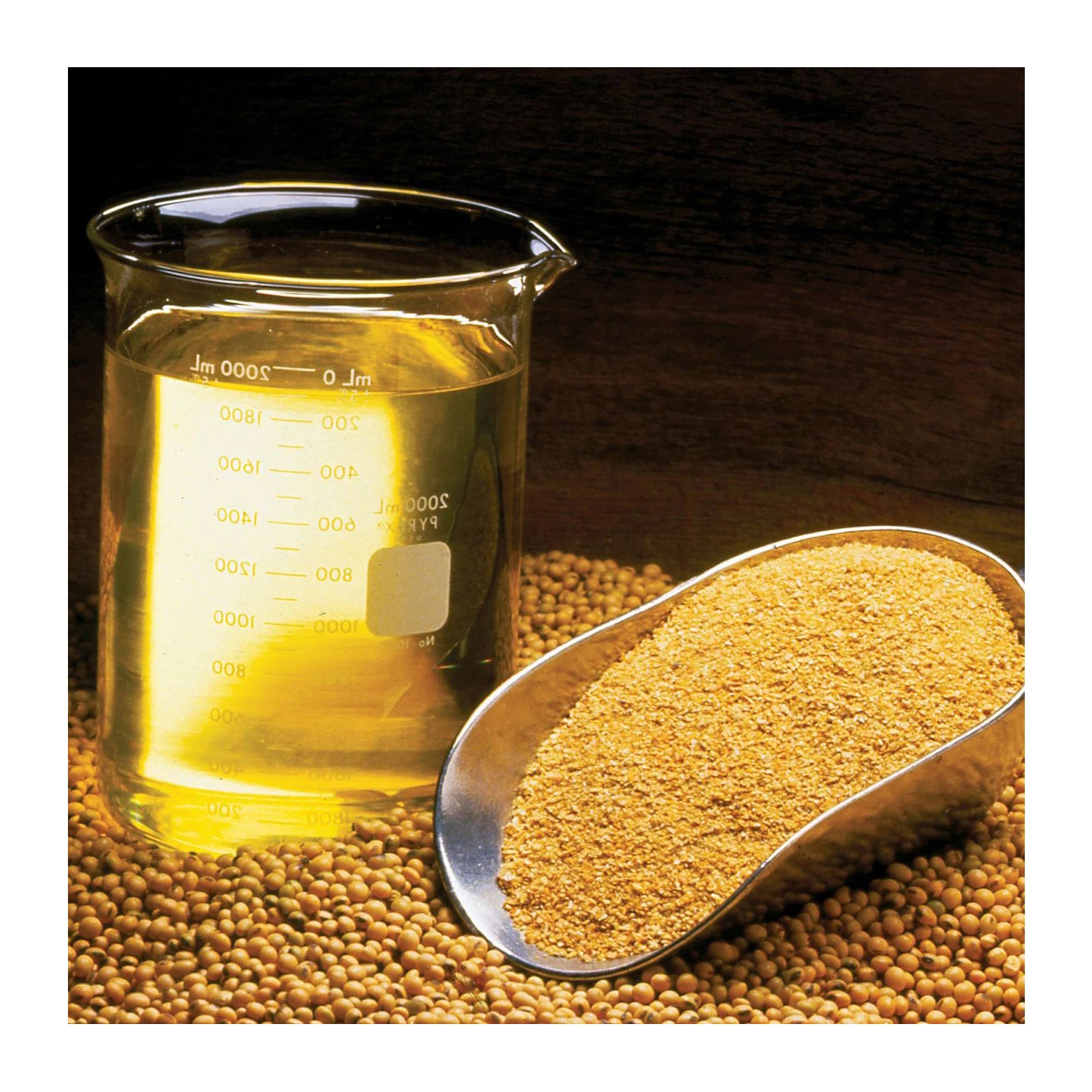 2021 Top Quality Wholesale Bulk Soya Bean Oil / Refined Soya Bean Oil From Thailand For Export