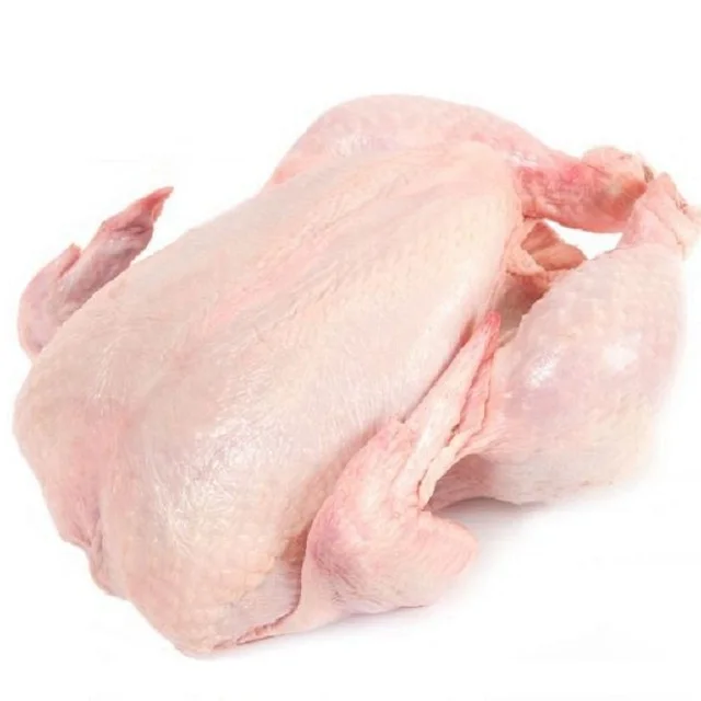 Wholesale Chickens Frozen HALAL Frozen Whole Chicken
