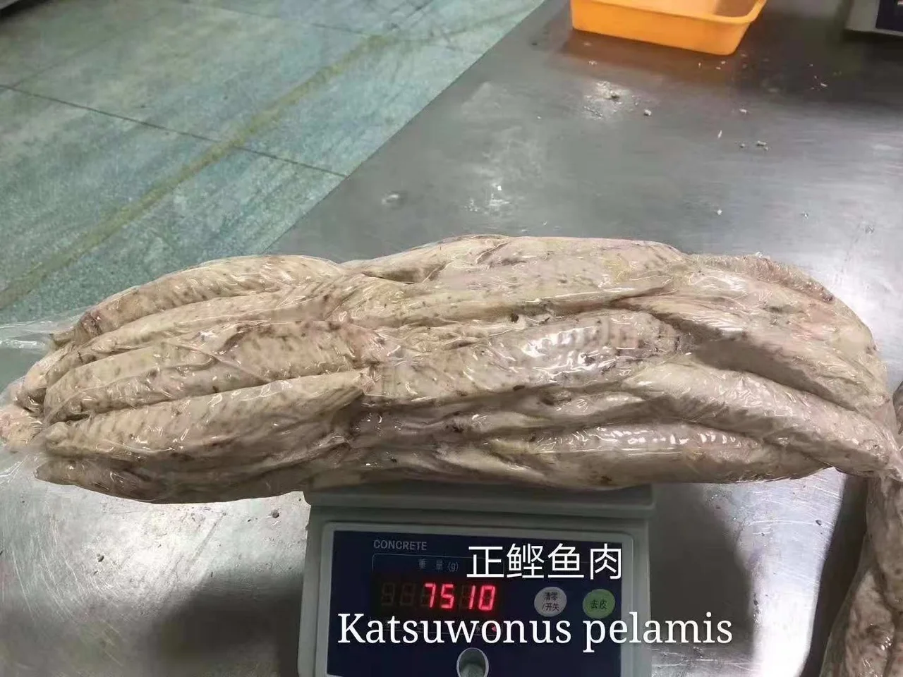 Katsuwonus pelamis IQF Frozen Skipjack Tuna Loin in Boneless Dark Meat Removed Cleaned from Pacific Indian Ocean