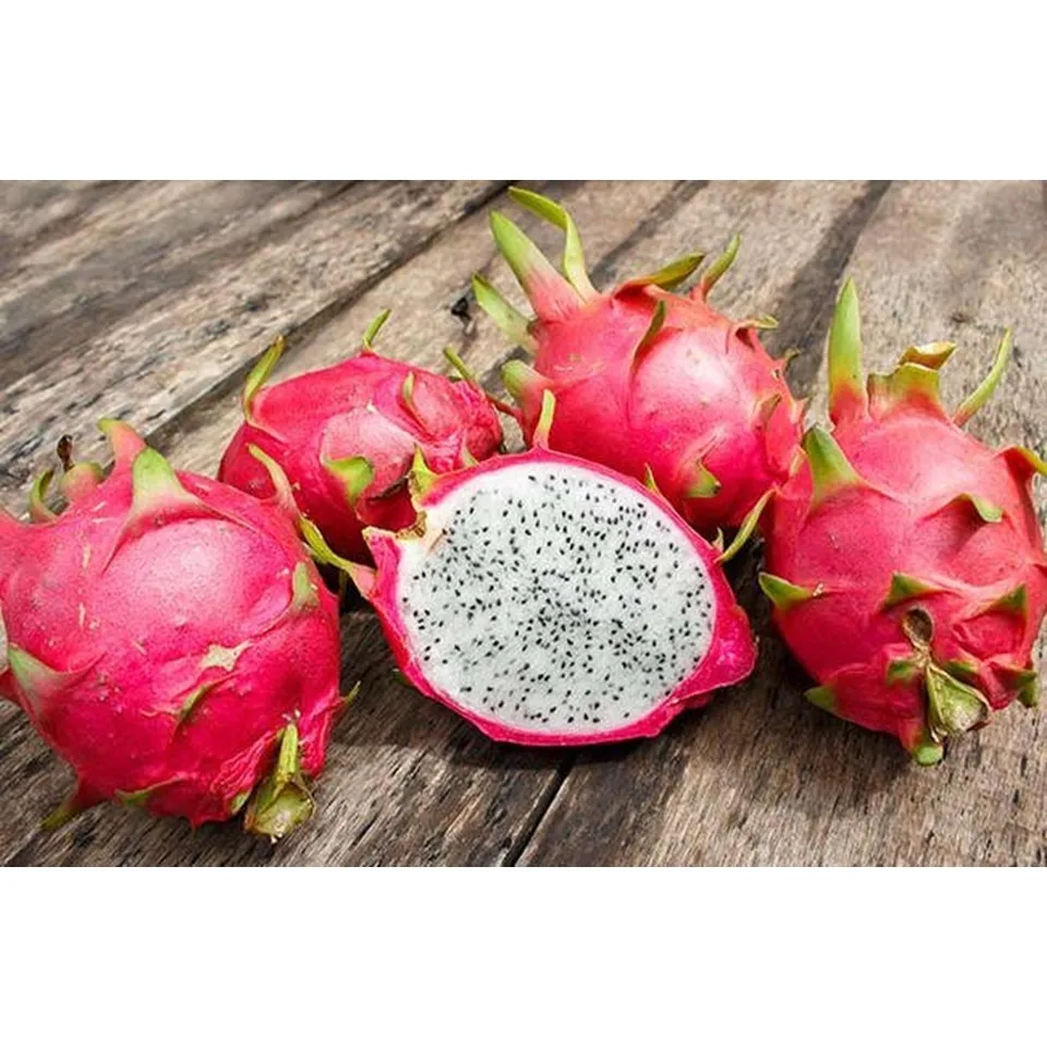 Organic Fresh Dragon Fruit High Quality Dragon Fruit (RED/WHITE Flesh) Specially Export to China Best Dragon Fruit Vietnam