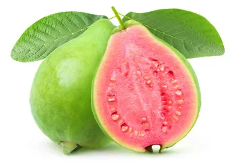 Sweet Crunchy fruits Rich in nutrient antioxidants High Vitamin C Fiber Organic fresh Guava From Malaysia