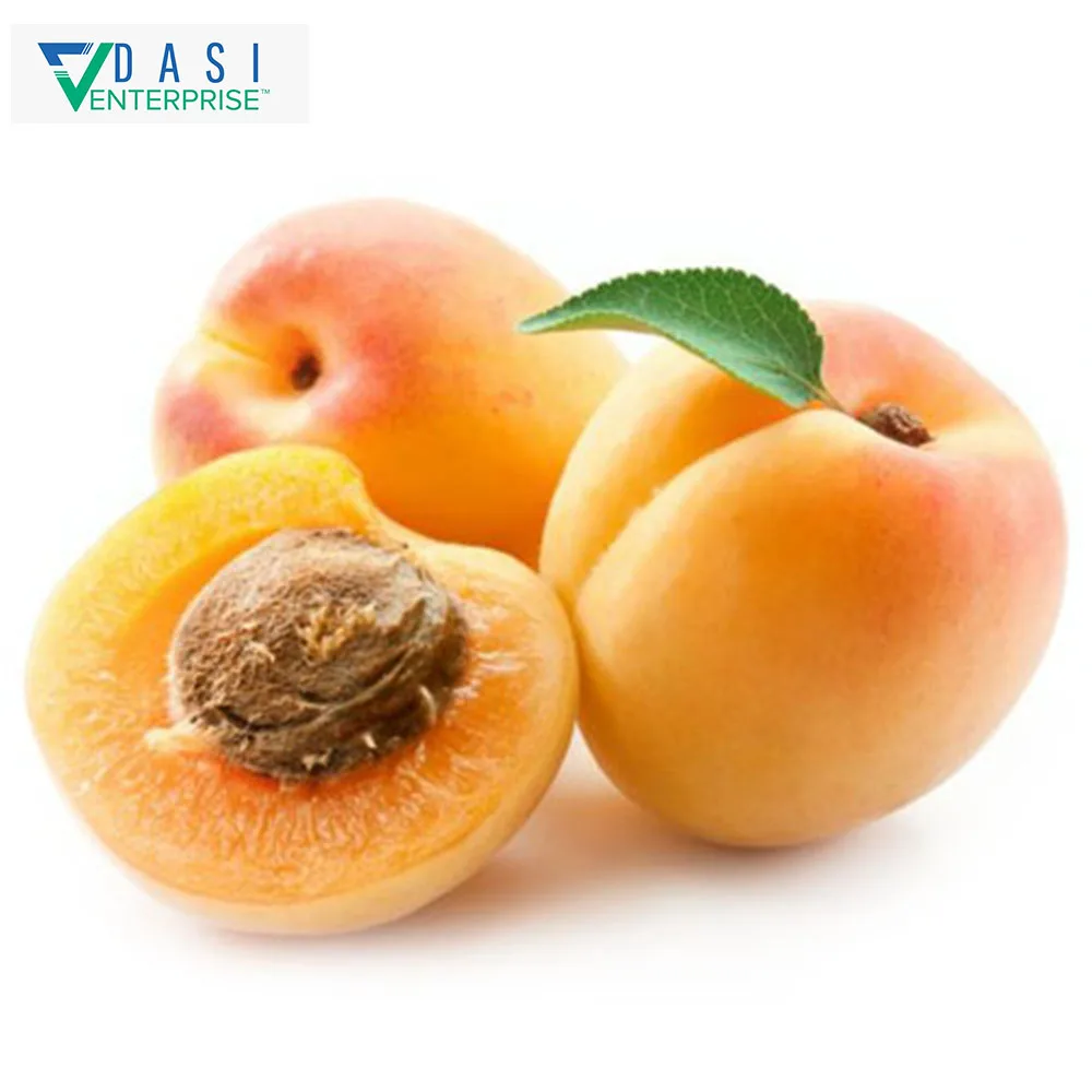 2021 High Class Cartoon Packaging Selling Of Fresh Orange Apricot Available At Best Price