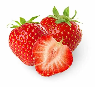 Export Grade Strawberry Premium grade from Thailand by SP Organic International Best Seller