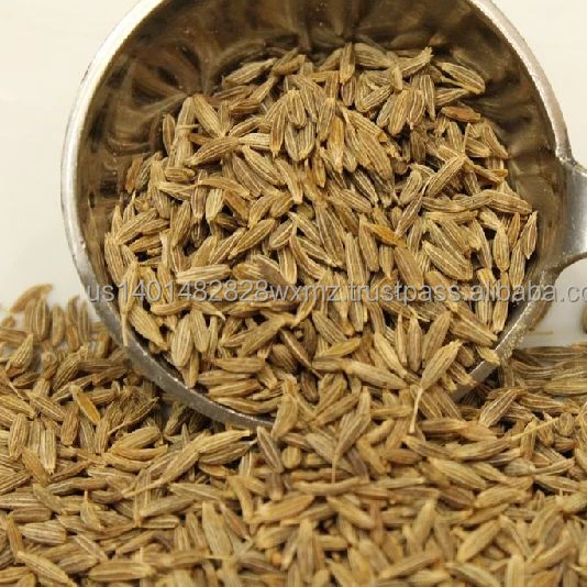PRODUCTION COMPANY OF BLACK CUMIN SEEDS INDIA