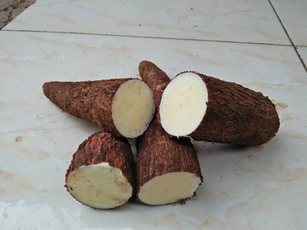 Tapioca / Cassava Root 1kg