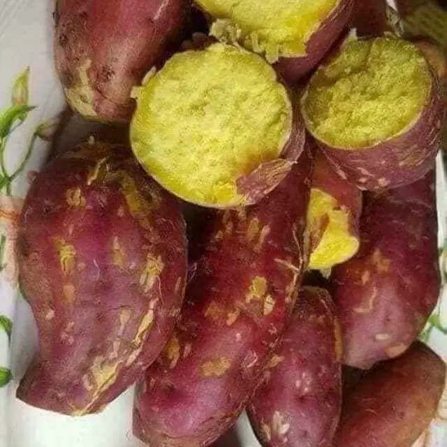 Сельскохозяйственная продукция, Органический 4-6 шт. за кг, свежий сладкий картофель с сроком годности 5 месяцев из Вьетнама