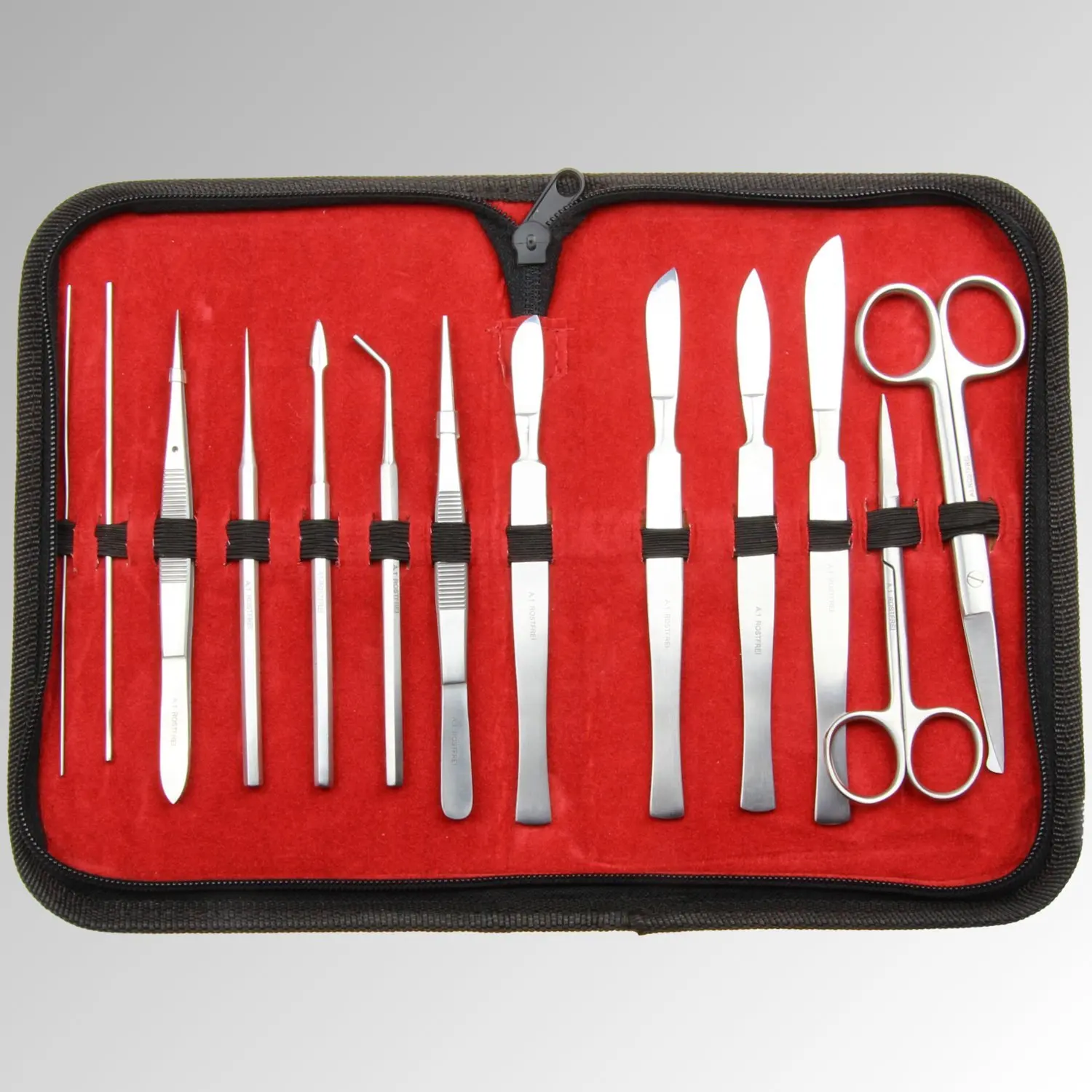 Набор для разделения лягушек чрезвычайно подходит практики студентов-медсестер включая каждый основополагающий