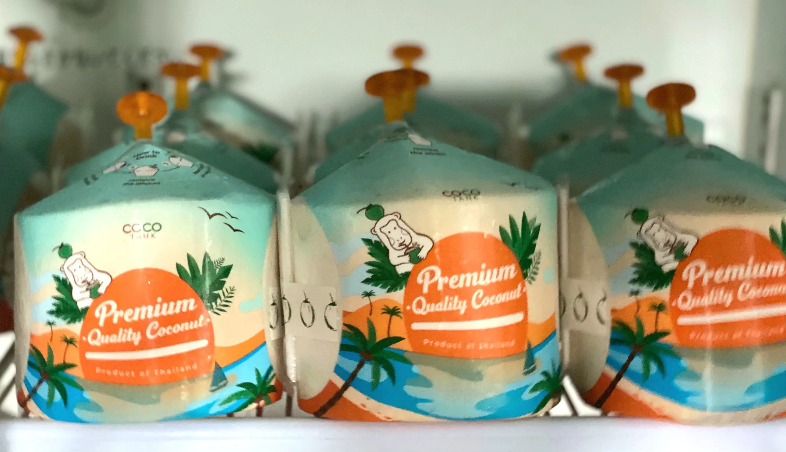 (Easy open) Premium Fresh Coconut From Thailand