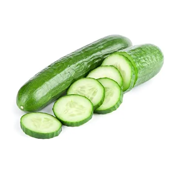 Product 100% Vegetables Green Fresh Cucumber For Sale