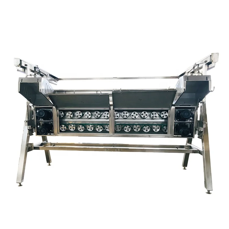 Equipment for poultry, machine for выщипывания chickens, factory processing slaughter