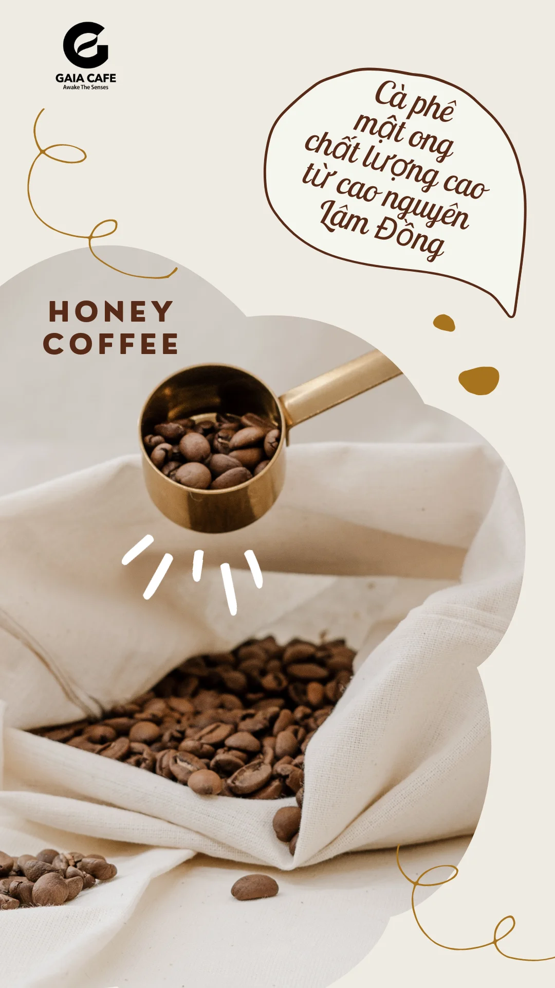 Roasted Custom Blend Coffee Beans Medium roasted Robusta Arabica  Blended coffee beans with best price from Viet Coffee