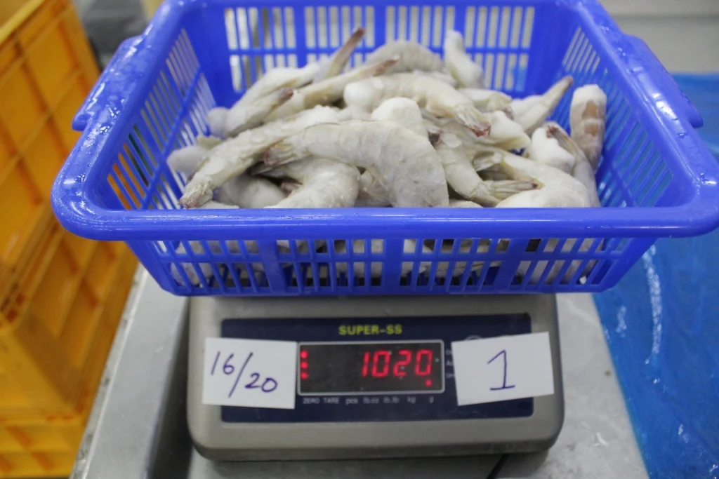 VANNAMEI IQF SHRIMP FROZEN HLSO WITH CUSTOMIZED SPECIFICATION AND HIGH QUALITY SEAFOOD EXPORTERS IN INDIA