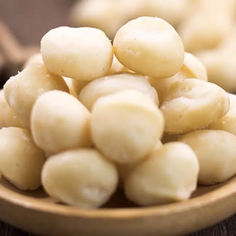 Macadamia 500 Grams Roasted Naturally 100 Percentage Which Is Good For Your Health