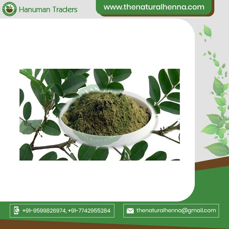 Hottest Sale On Indigo Powder For hair organic indigo powder World Wide Exporter From India