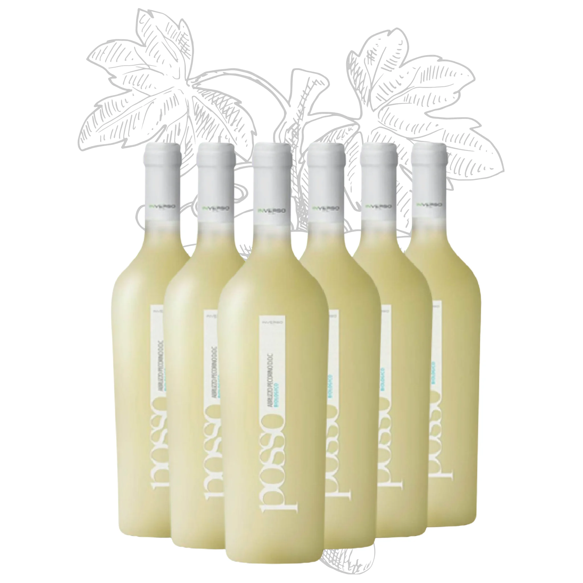 Premium Made in Italy White Wine Pecorino DOC Organic Posso White Table Wine bottles 750 ml alcohol 13% for export