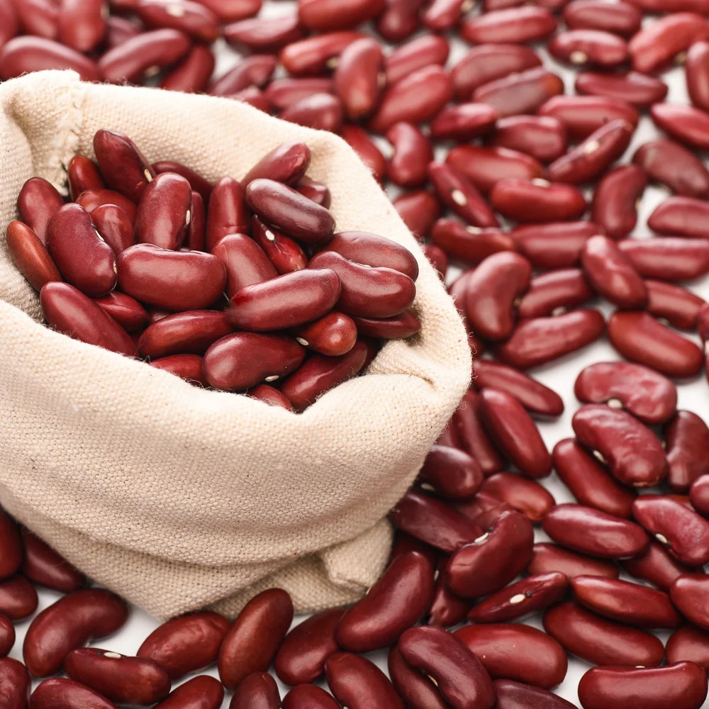 Хит продаж сельскохозяйственная продукция китайская фасоль