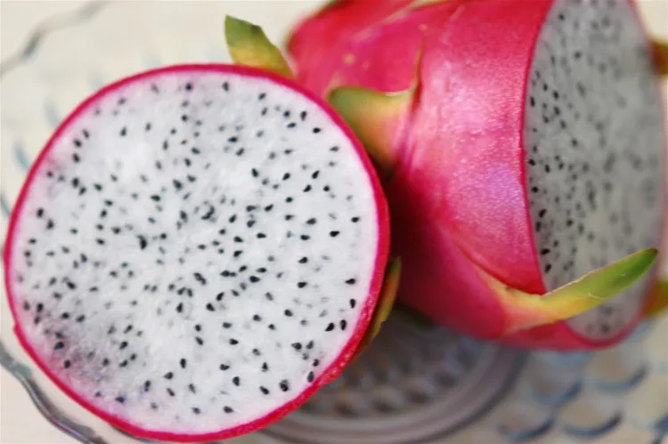 ORGANIC Dragon Fruit from VietNam/Whatsapp +84 845 639639