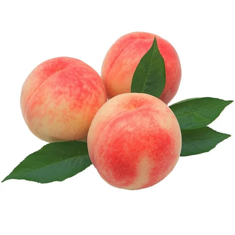 2021 свежие желтые персики/свежие нектарины для продажи из Бельгии