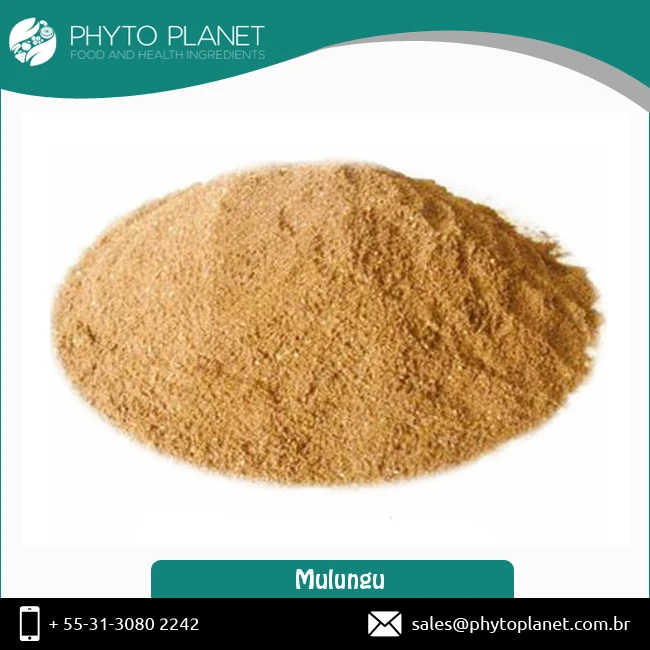 Mulungu Powder