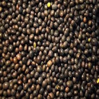 
Natural Organic Vetch Seed 
