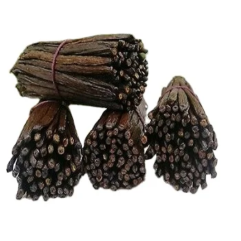 Mexican Vanilla Beans