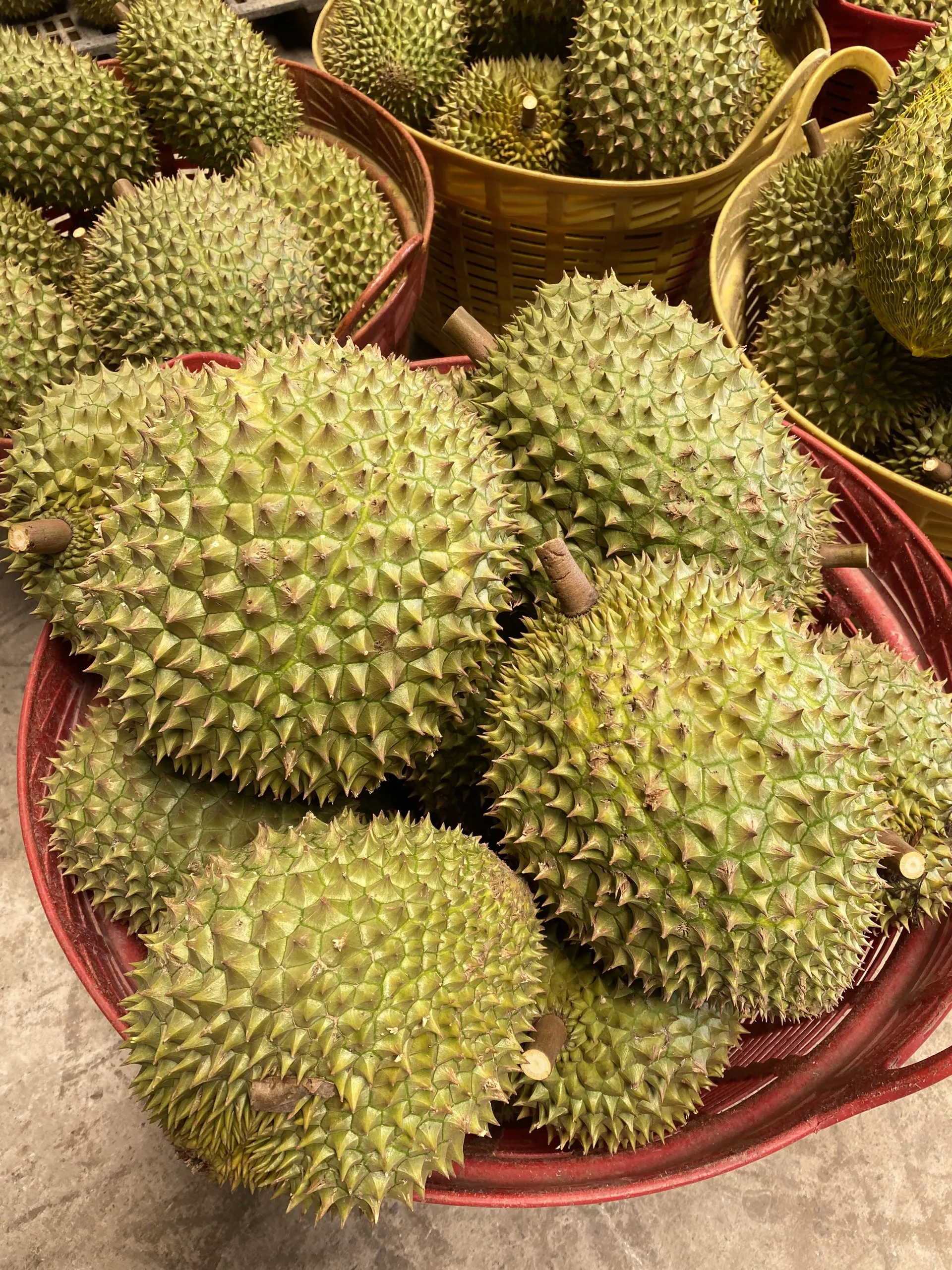 Низкая цена-продукты дуриан свежие тропические фрукты во Вьетнаме-Ms. Smiley + 84 328334958 ( Whatsaap)