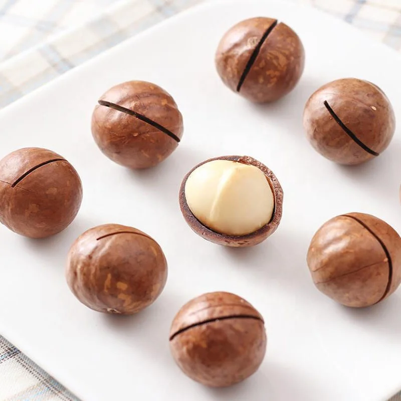 Top Grade Factory Price Bulk Macadamia in shell Wholesale Roasted Macadamia Creamy/ Coffee/ Original Flavor