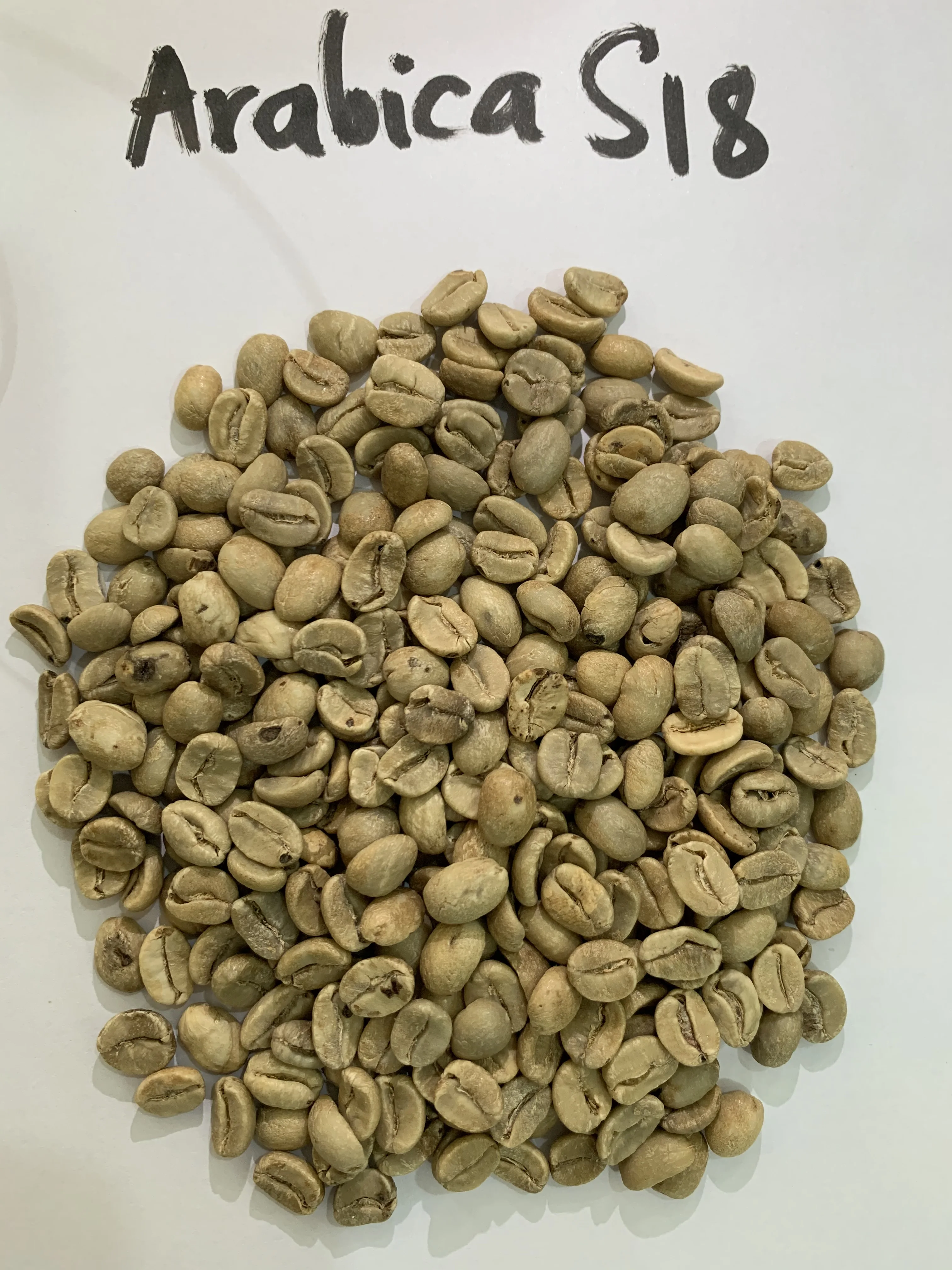 
Wholesale Vietnamese High Quality Green Coffee With Best Price Arabica Beans For Import Good Quality Raw Coffee Beans 
