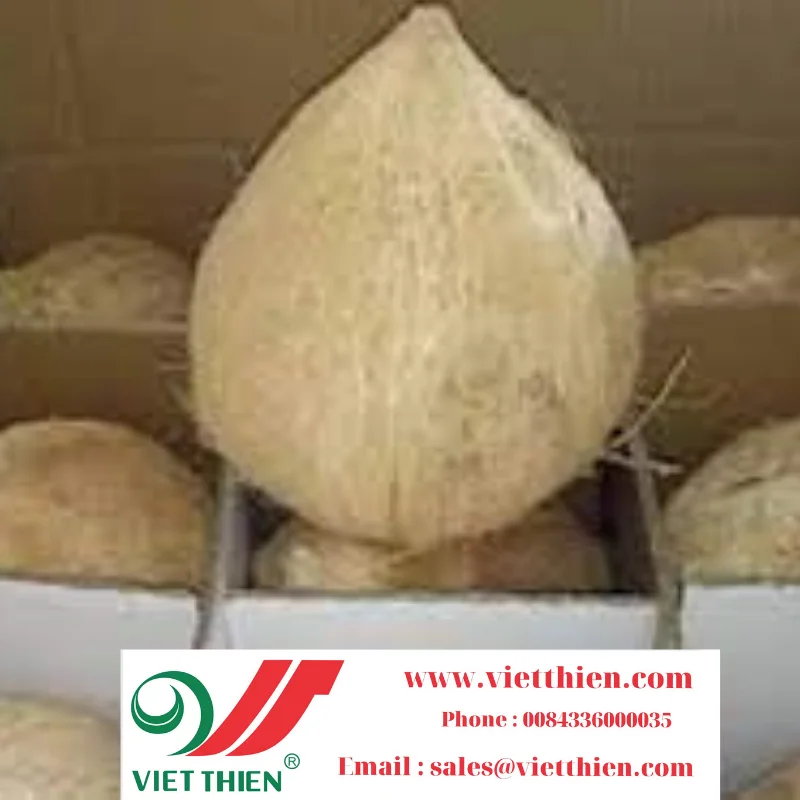 Dried coconut provides large quantities with clear origin at reasonable prices to ensure prestige and quality for consumers