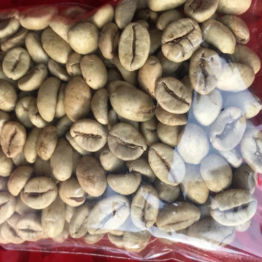  Кофе робуста из Вьетнама Лучший товар зеленые кофейные зерна отличный