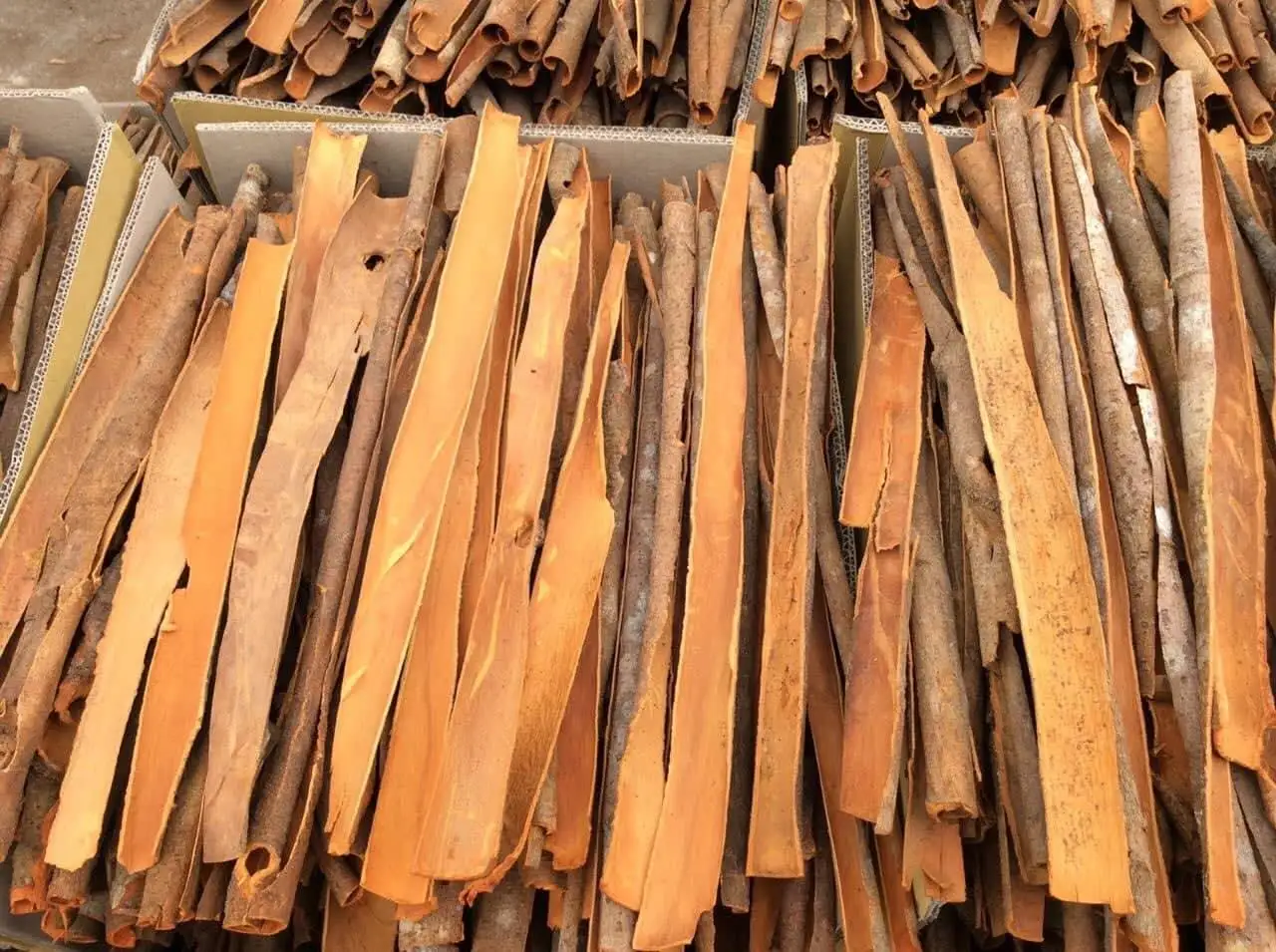 Оптовая продажа, 10 кг/коробка, Натуральный Темный сушеный стиль, необработанная обработка, нарезанная форма, разделенная кассия, происхождение из Вьетнама