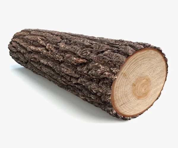 Teak wood round log 40  cm diameter (11000002094166)