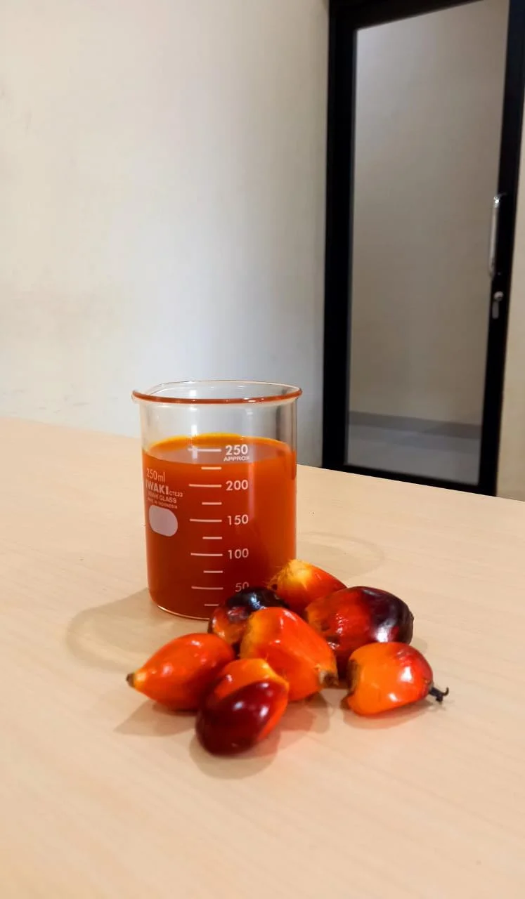Indonesia High Quality Bulk 0.5% Max Moisture And Impurities Natural Crude Palm Oil (CPO) For Cooking