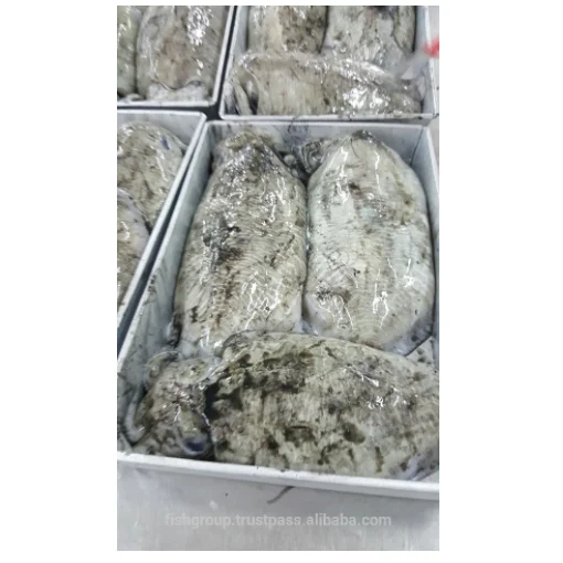 Замороженный морской шлемник очищенный IQF