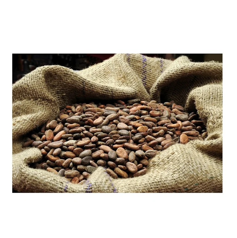 Какао бобы доступны по самой низкой цене в наличии оптом